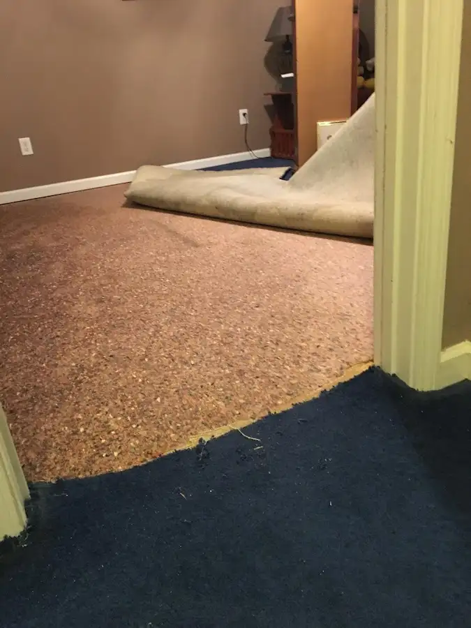 Carpet pad removal revealing water damage during Drying & Dehumidification in Palm Springs