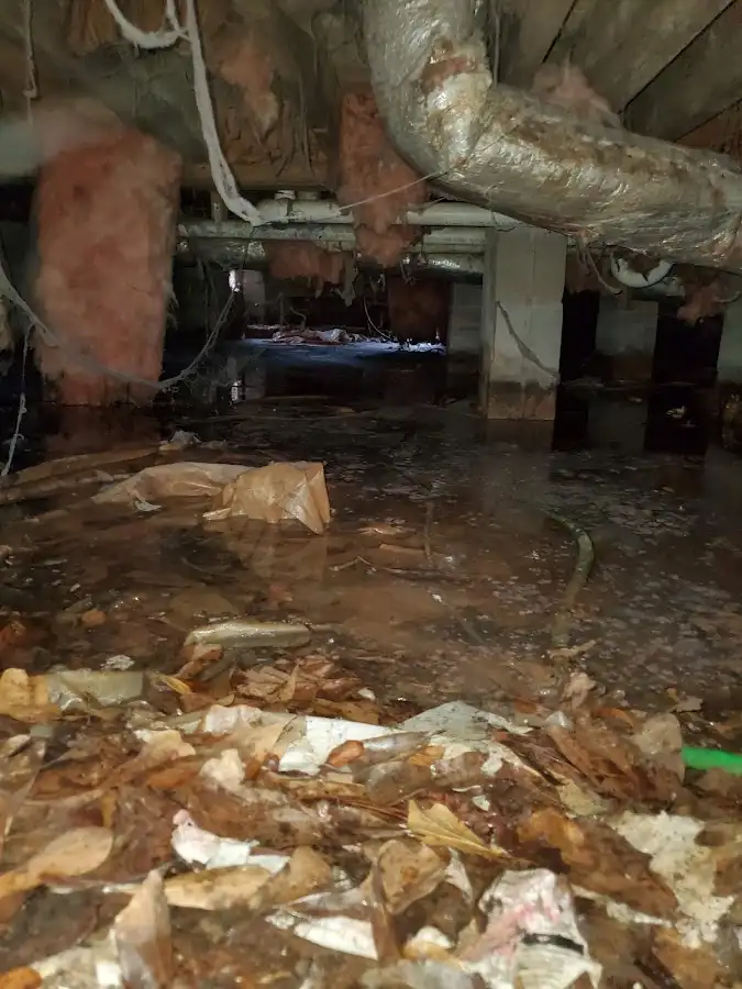 Crawl space flood assessment for Leak Detection & Repair in Palm Springs
